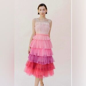 NWT— Storia- Beautiful pink-toned tulle ombré dress